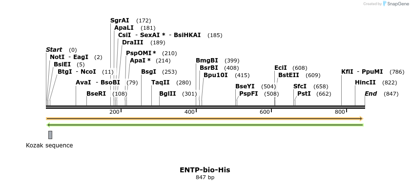 93914_map