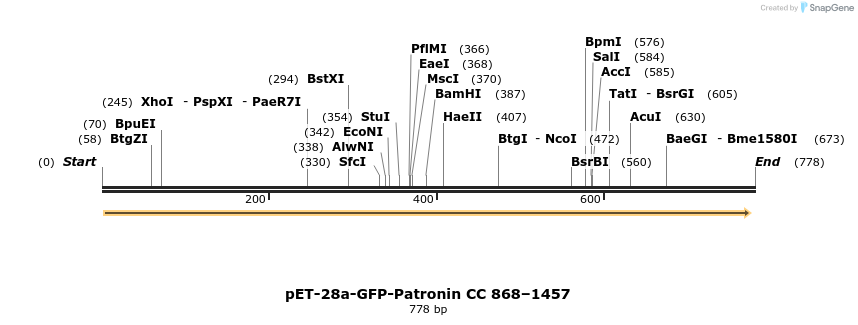 93916_map