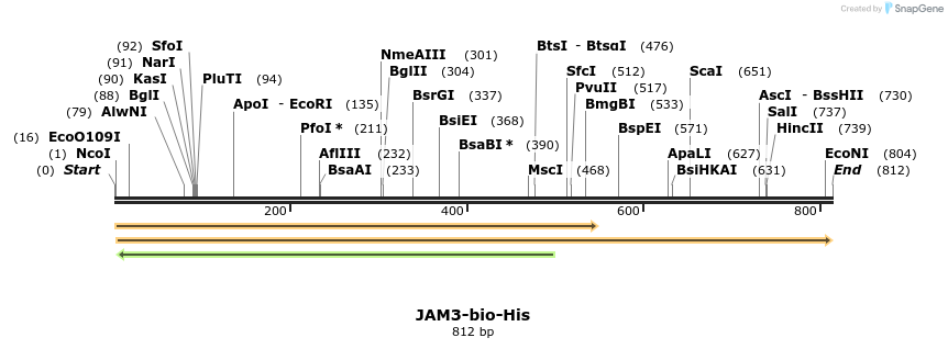 93918_map