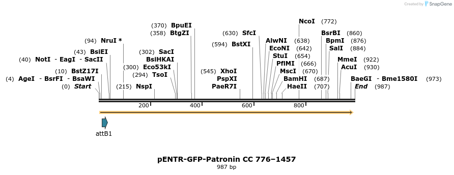 93919_map