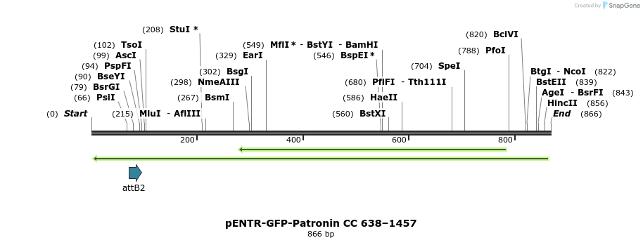 93921_map