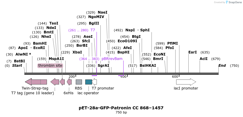93923_map