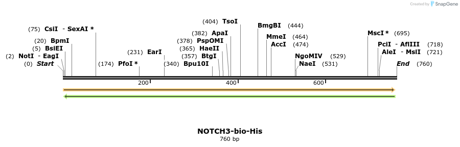 93925_map