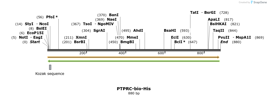 93926_map