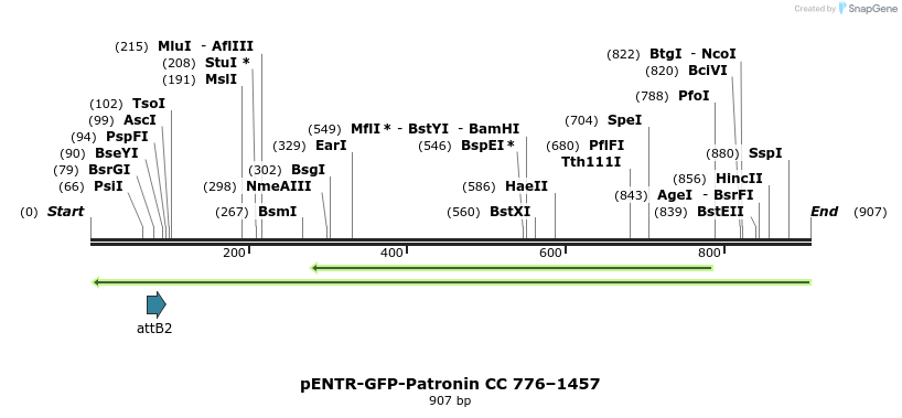 93927_map
