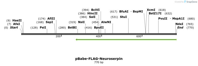 93929_map