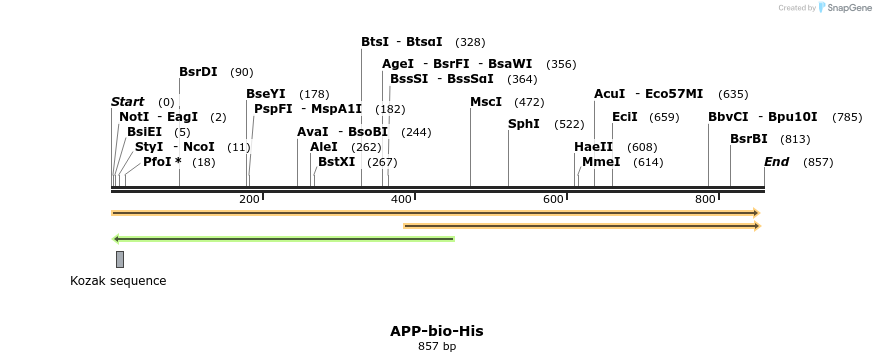 93930_map