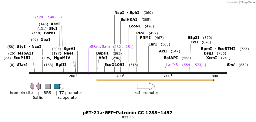 93932_map