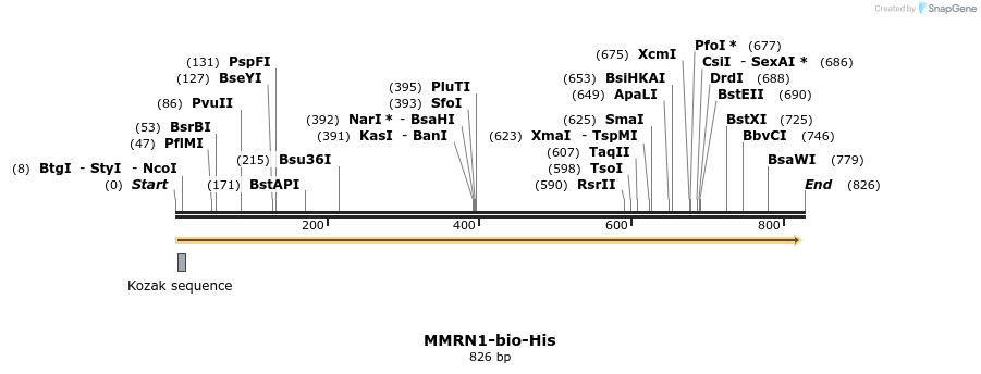 93933_map