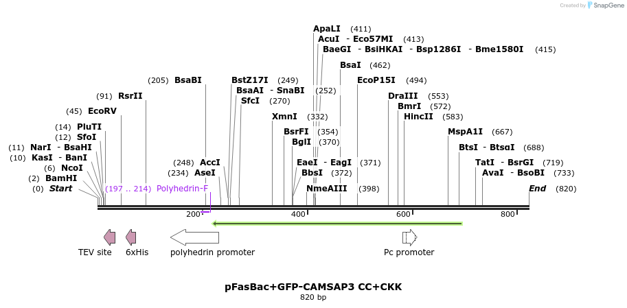 93936_map