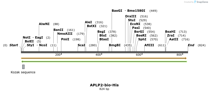 93937_map