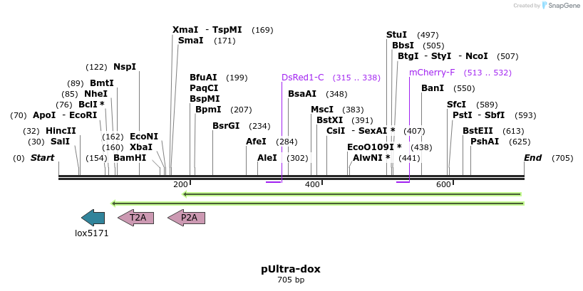 93939_map