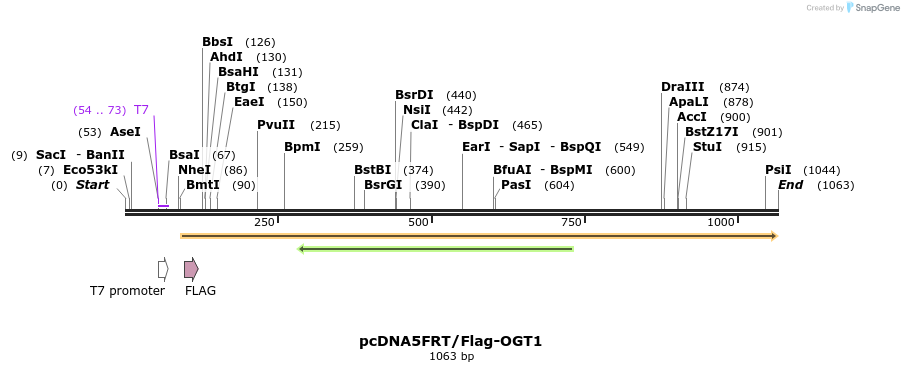 93940_map