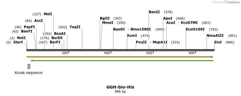 93946_map