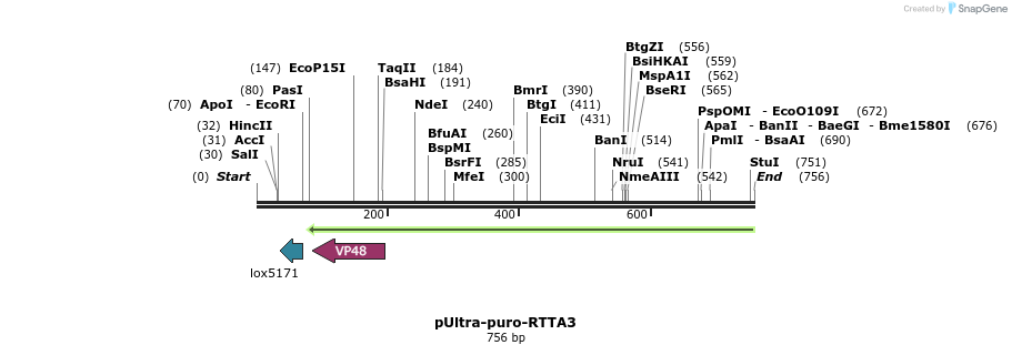 93947_map