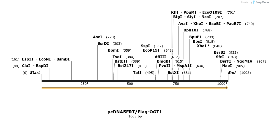 93948_map