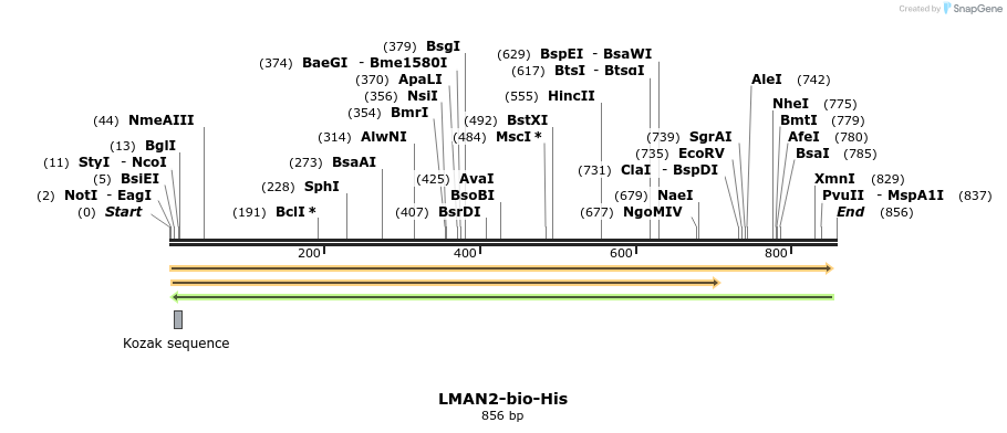 93949_map