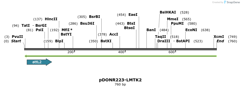 93952_map