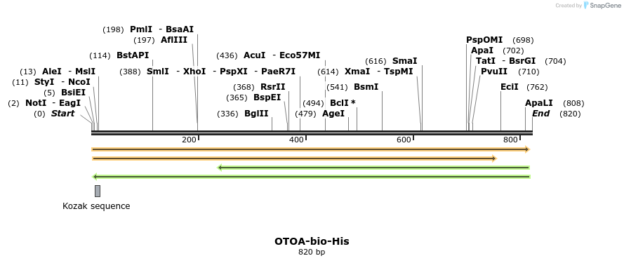 93953_map