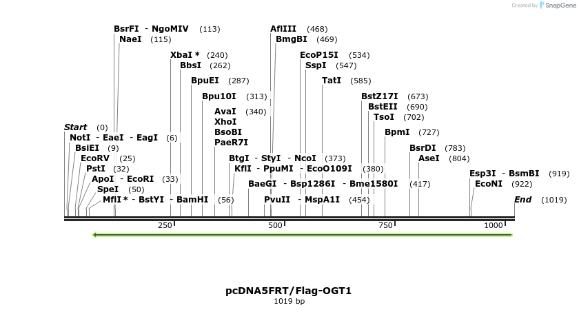 93954_map