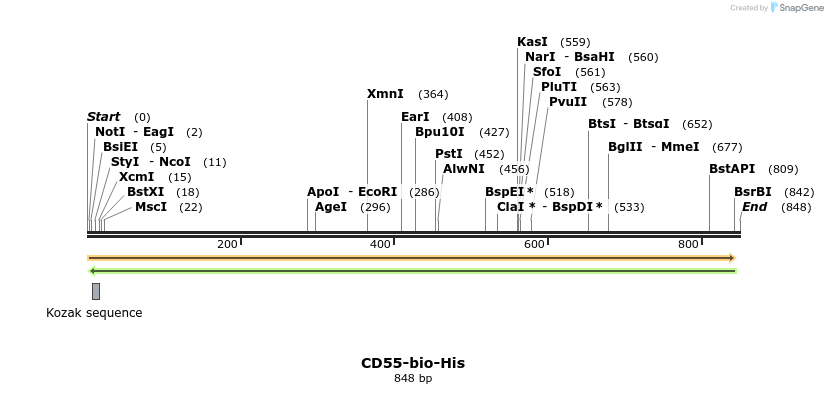 93956_map
