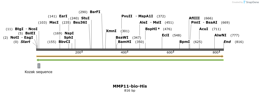 93958_map