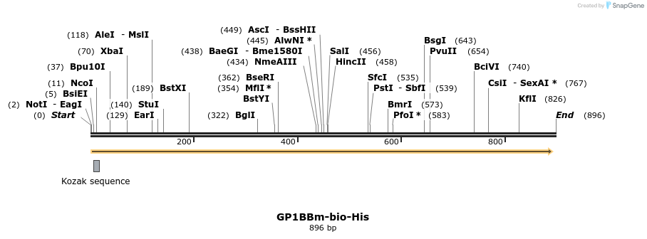 93959_map