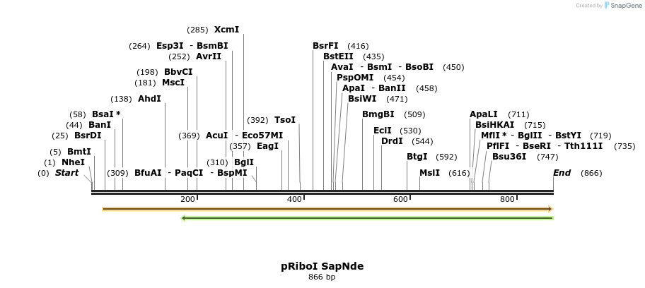 93964_map