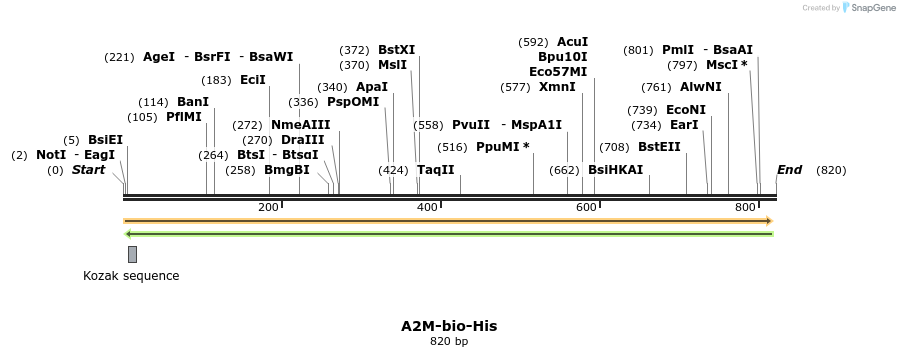 93968_map