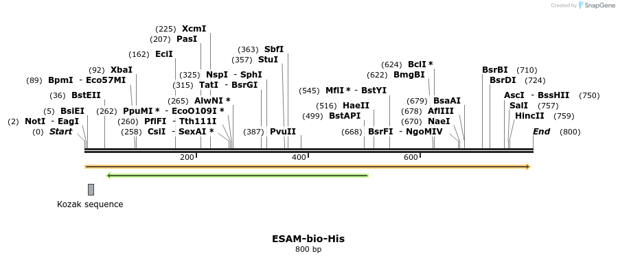 93969_map