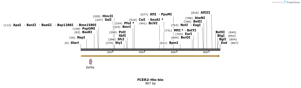 93970_map