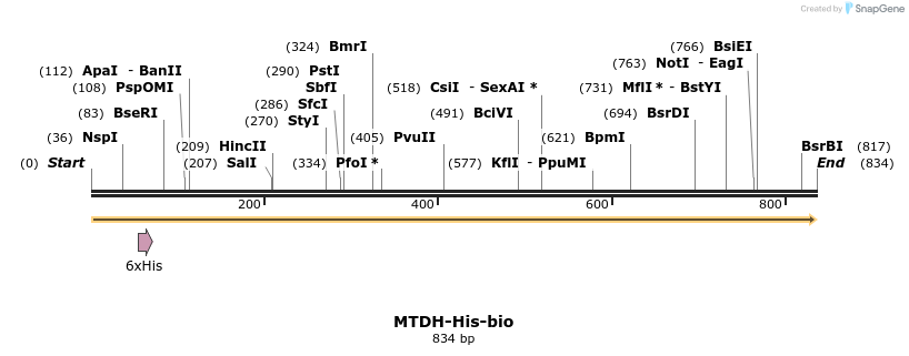 93971_map