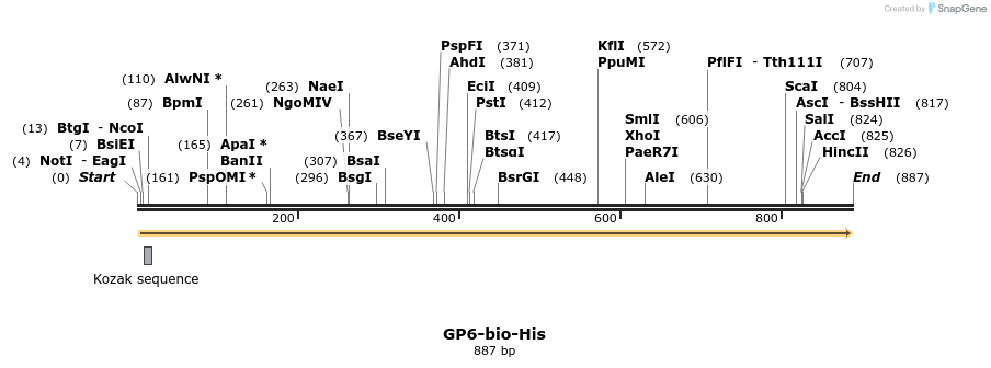 93972_map