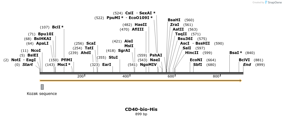 93975_map