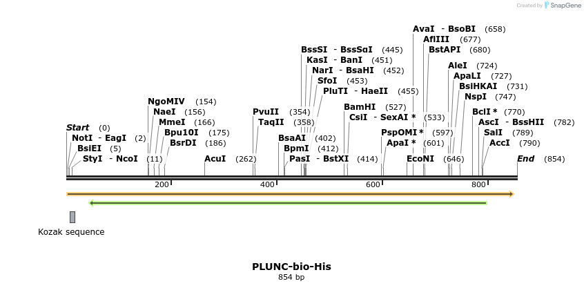 93976_map