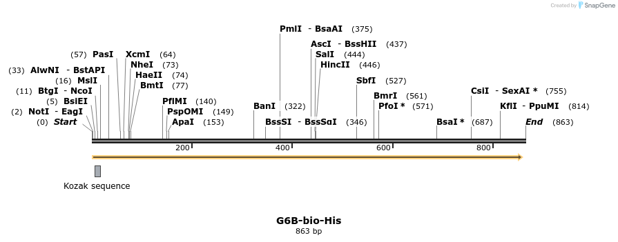93978_map