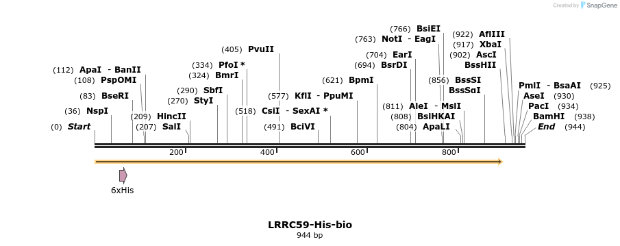 93981_map