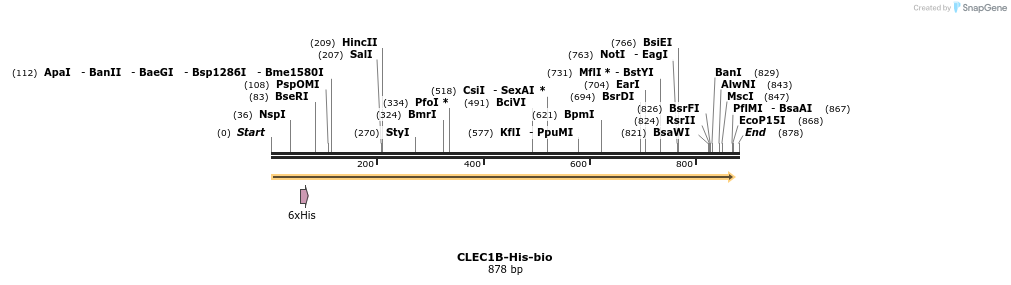 93982_map