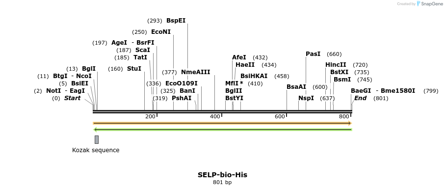 93983_map
