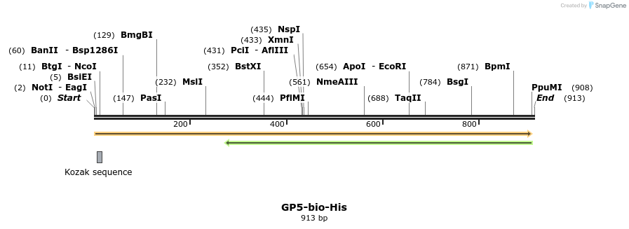 93985_map