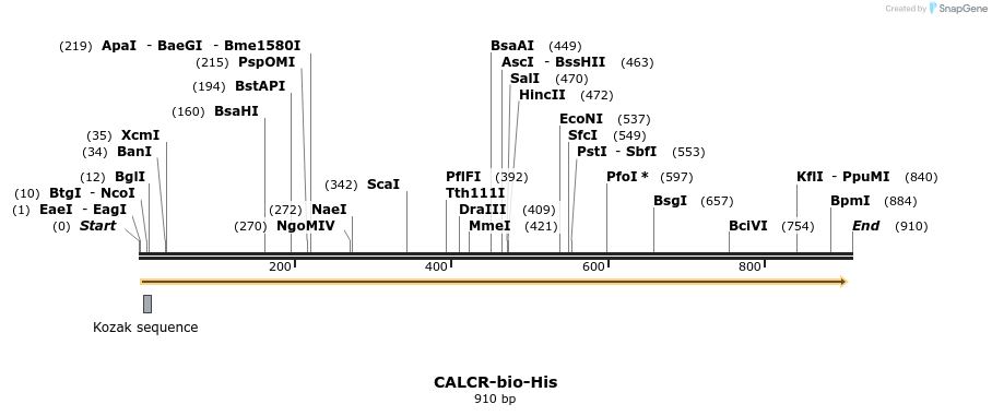 93987_map