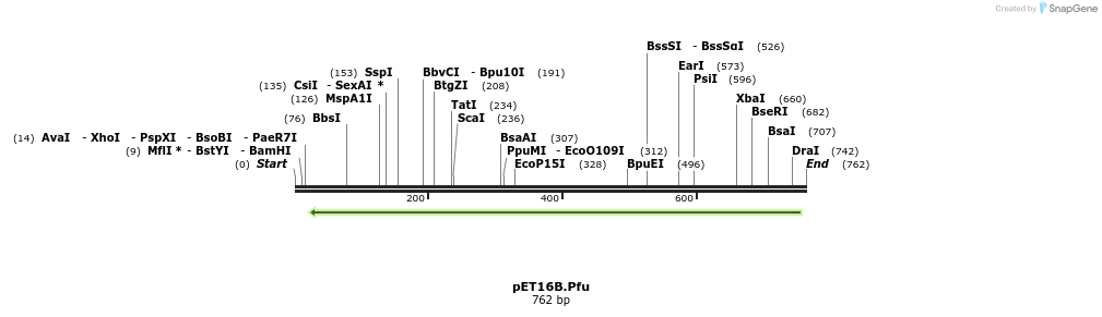 93991_map