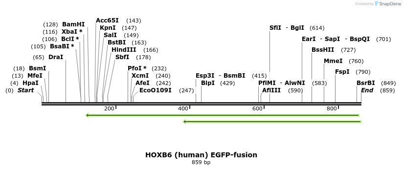 93992_map