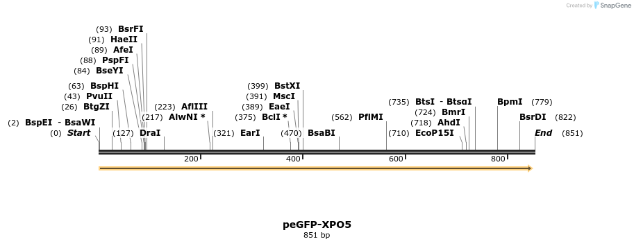 93994_map