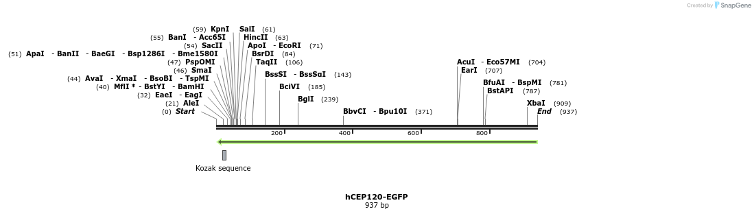 93995_map
