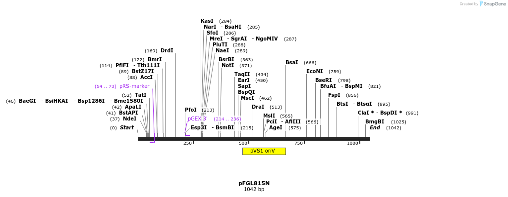 93996_map