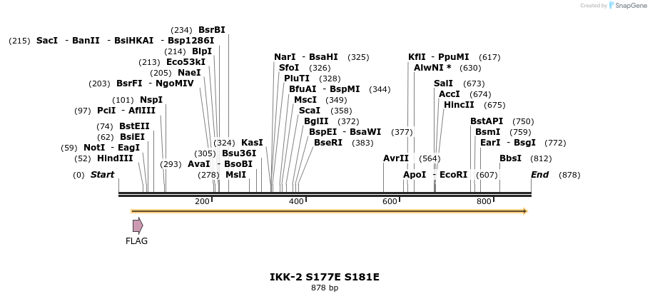 93997_map