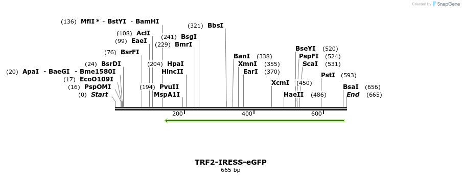 94001_map