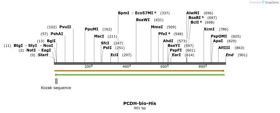 94002_map