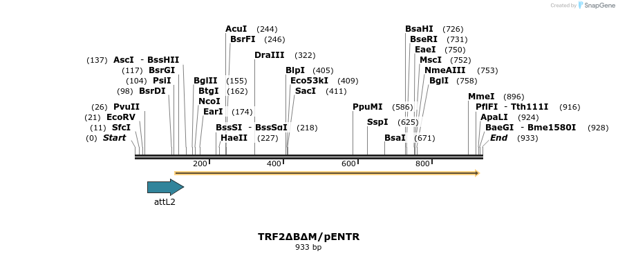94004_map